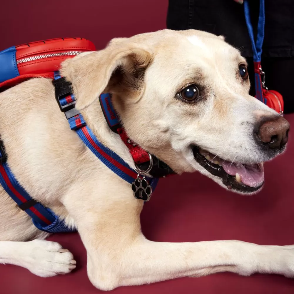 Marvel Spider-Man Dog Collar Best